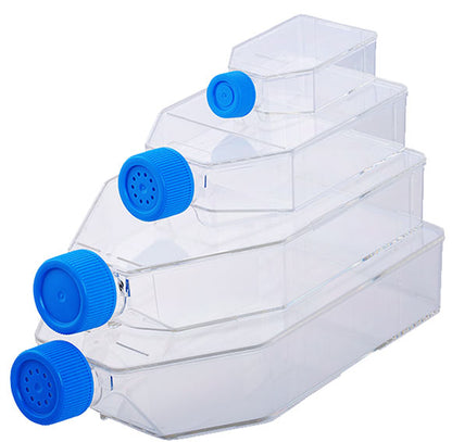 Cell Culture Flask TC
