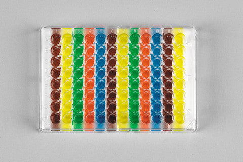 Multi-colored 96 Well Orienter