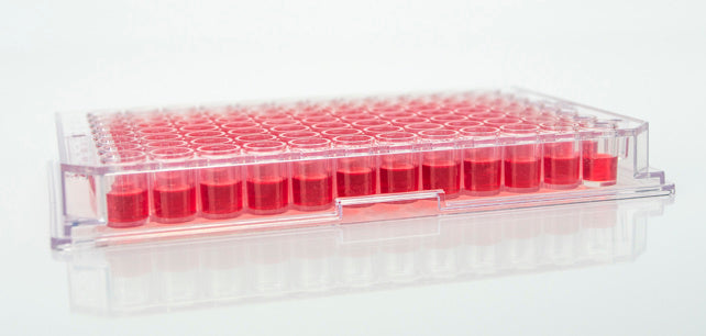 Planet-Safe Petri Dishes, 96well Round  Bottom Microplate