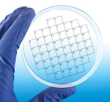 PetriStickers, square grid