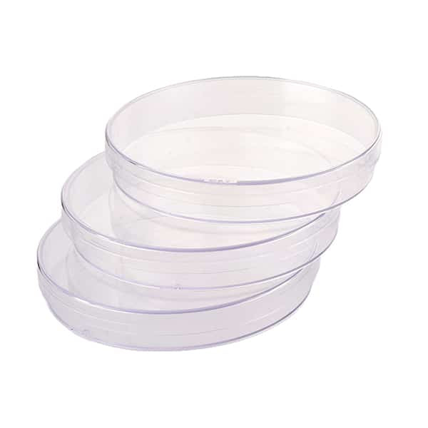 Petri Dish, 140mm - 2 Compartments